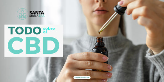 Todo sobre el CBD: Guía Completa para Principiantes