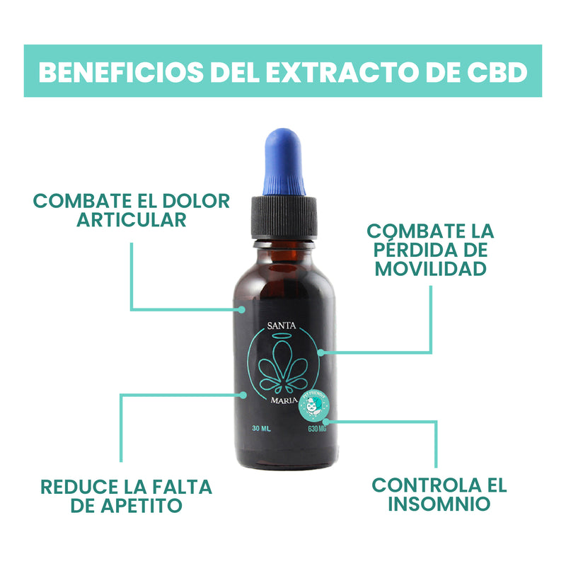 Beneficios Extracto de CBD para perros